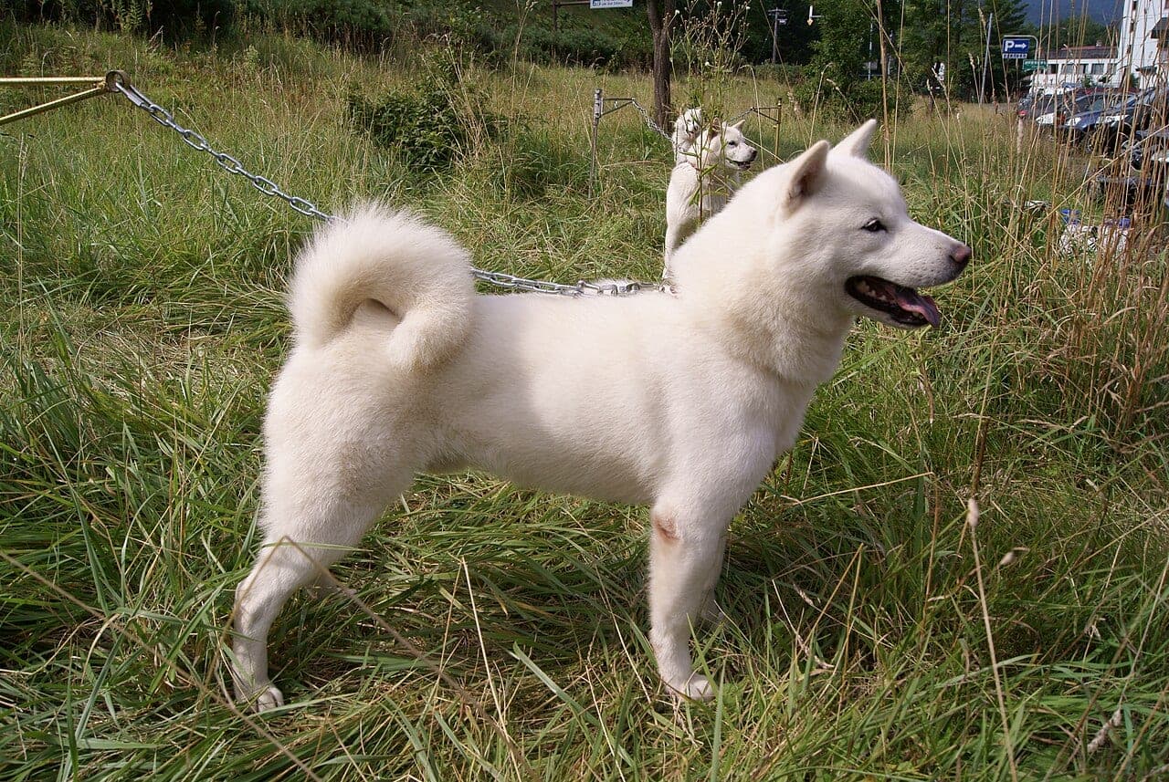 Hokkaido