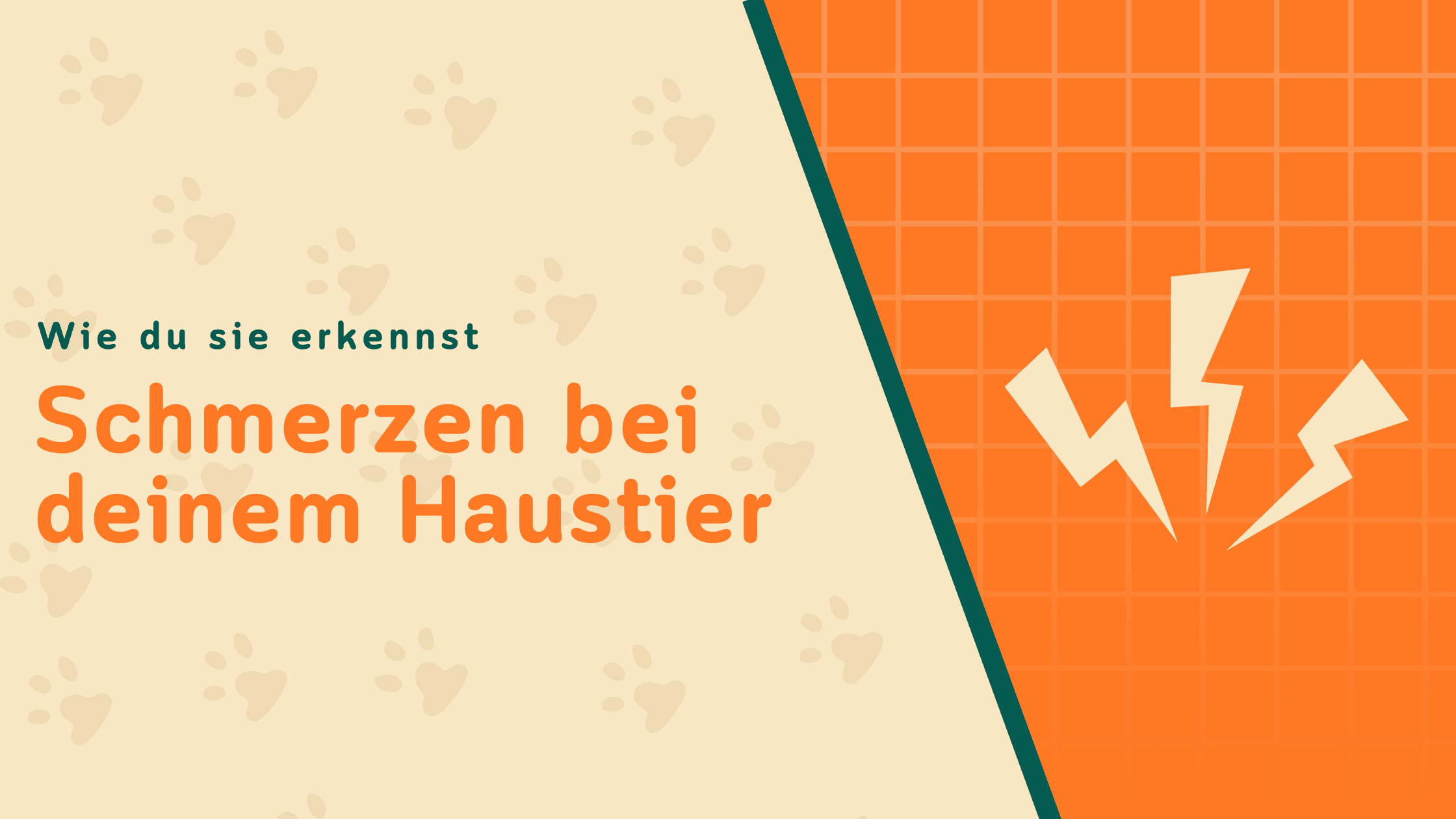 Wie erkenne ich Schmerzen bei meinem Haustier?