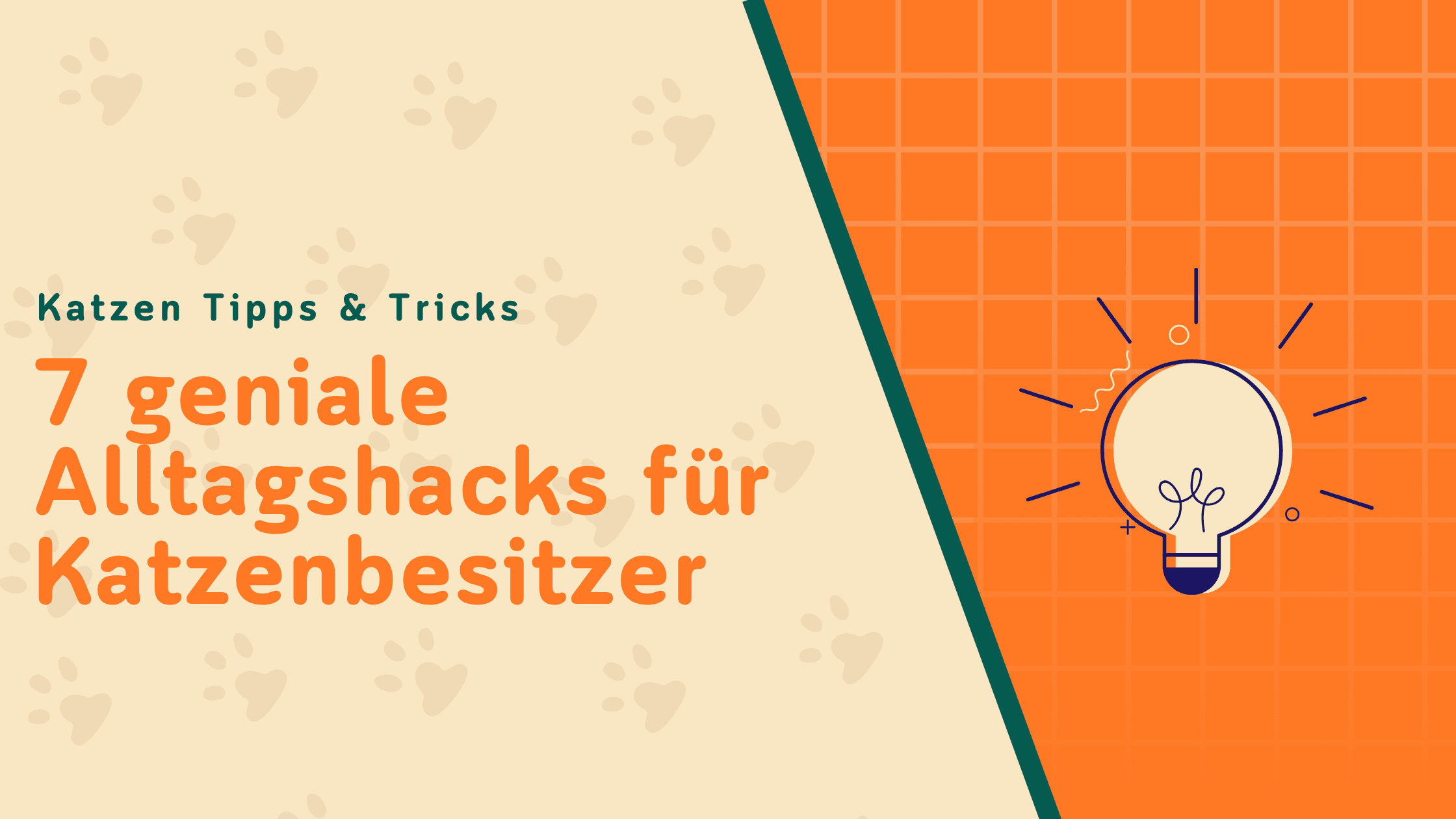 7 geniale Alltagstipps für Katzenbesitzer