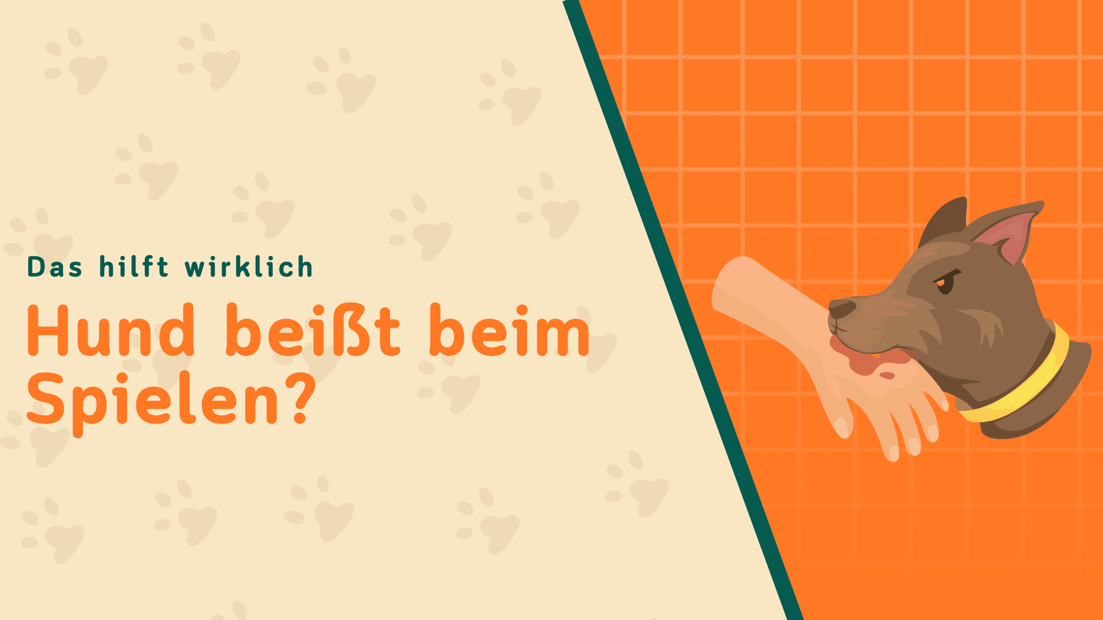 Mein Hund beißt ständig beim Spielen – was tun?