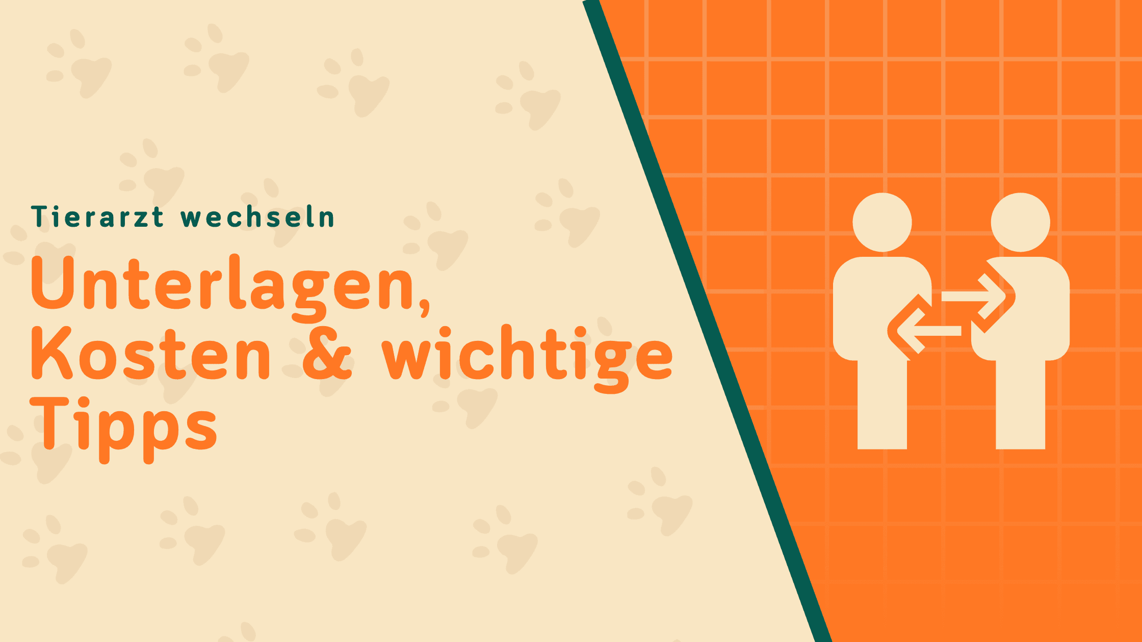 Tierarzt wechseln: Was du beachten solltest, wenn du unzufrieden bist