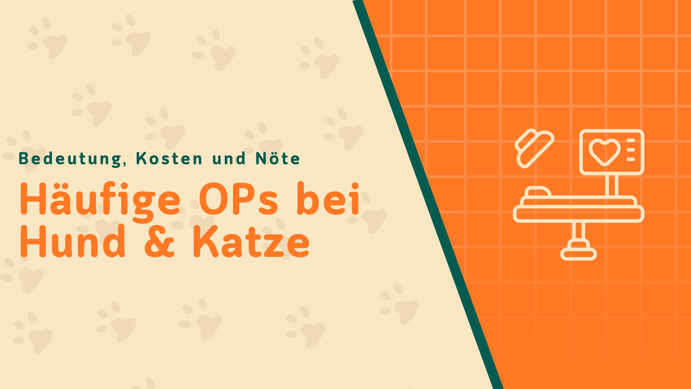 Häufige OPs bei Hund & Katze: Was sie bedeuten, was sie kosten und wann sie nötig sind