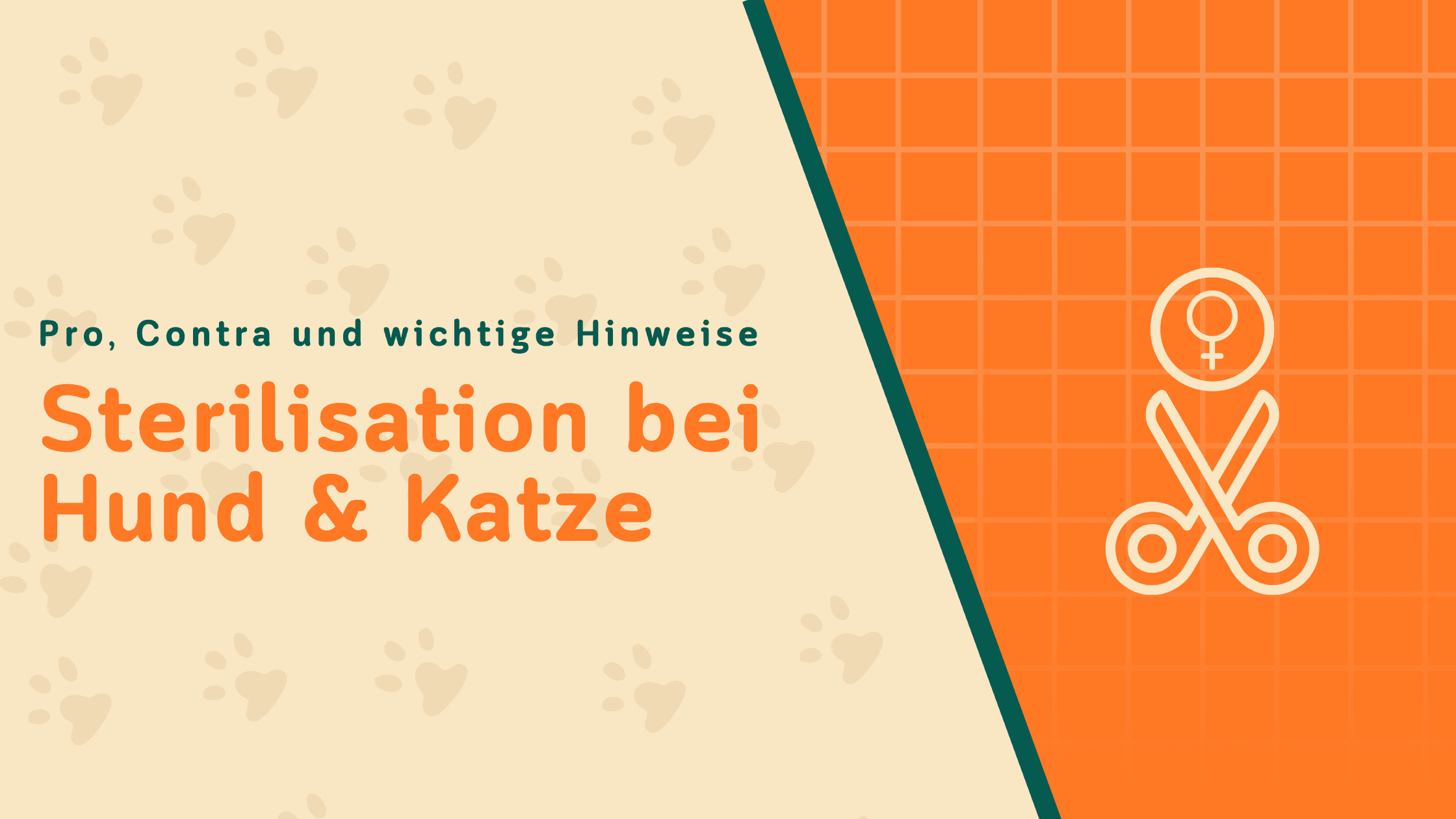 Sterilisation bei Hund & Katze: Was du wissen musst – und wann Kastration die bessere Wahl ist